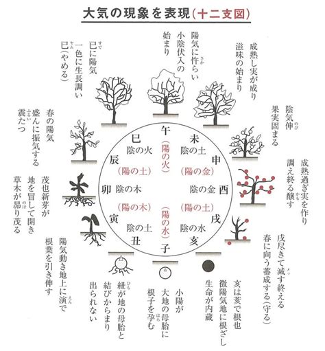 木剋土 意味|四柱推命【五行相剋 (相克)】とは？相剋の意味・相性。